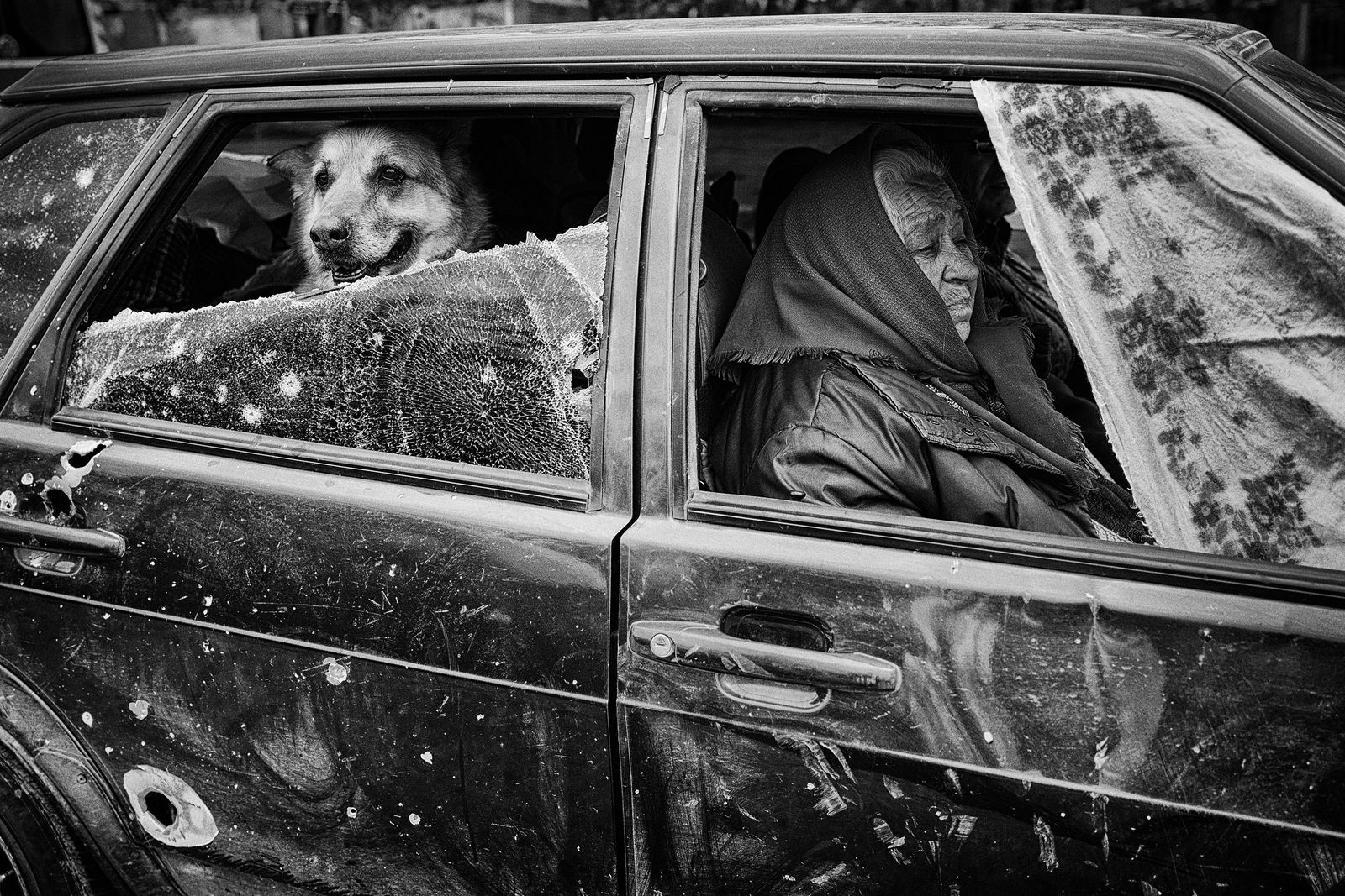 A person and a dog in a bullet riddled car.