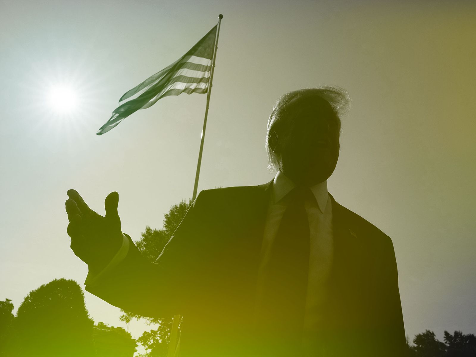 Silhouette of Trump raising his arm with an American flag in the background