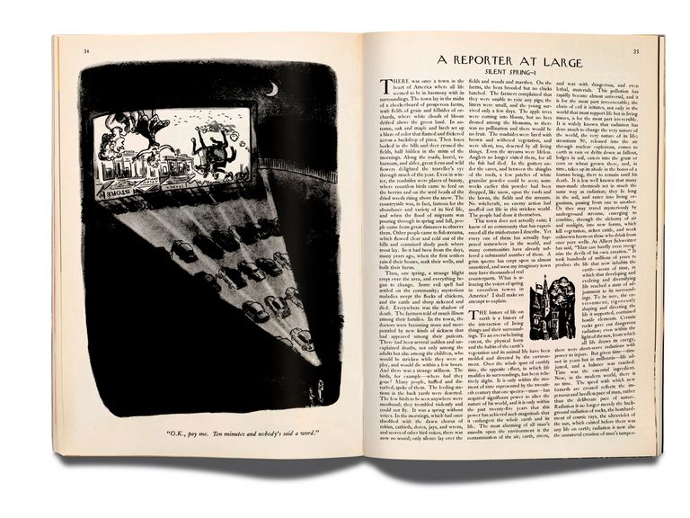 Bill McKibben on Rachel Carson’s “Silent Spring”