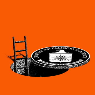 What Will Become of the C.I.A.?